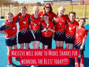 Hockey Blitz Success!